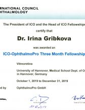 ICO-Ophthalmopro Three Nonth Fellowship