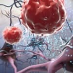 Будущее имплантологии – за стволовыми клетками - новости офтальмологии