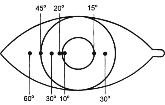 11080