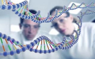 Генная инженерия остановит эпидемию близорукости - новости офтальмологии