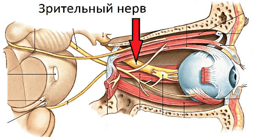 Заболевания зрительного нерва и хиазмы