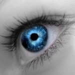 Слепое пятно можно уменьшить путем тренировок - новости офтальмологии